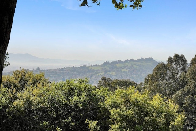 3580 Star Ridge Rd, Hayward, CA 94542 - view of mountain feature featuring a view of trees
