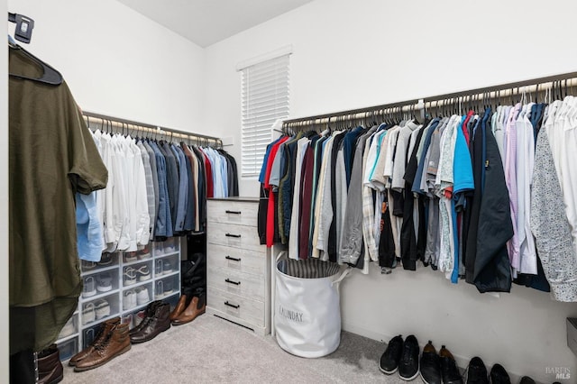 walk in closet featuring carpet