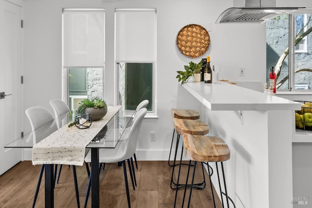 dining room featuring wood finished floors