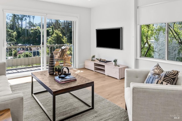 living room with light wood-style floors