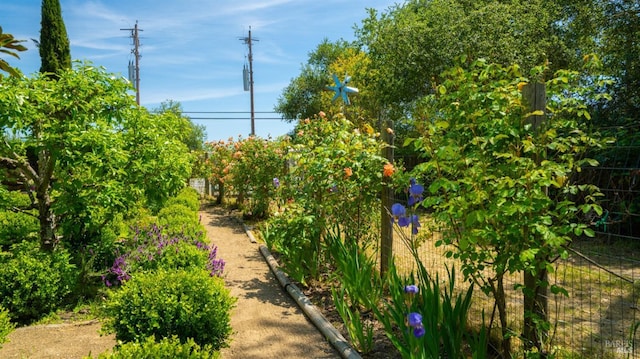 2267 Westside Rd, Healdsburg, CA 95448 - view of yard
