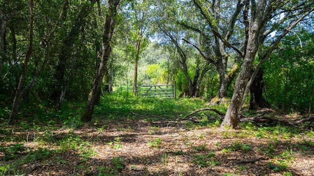 2267 Westside Rd, Healdsburg, CA 95448 - view of tree filled area