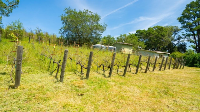 2267 Westside Rd, Healdsburg, CA 95448 - view of yard