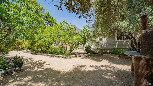 643 3rd St, Napa, CA 94559 - view of yard
