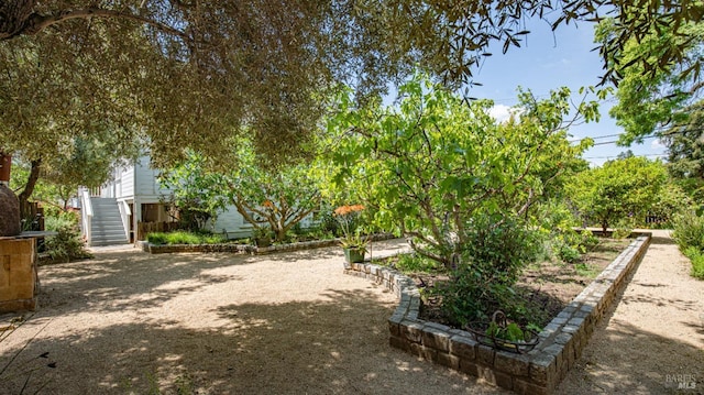 643 3rd St, Napa, CA 94559 - view of yard featuring stairs