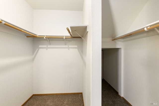 walk in closet featuring carpet floors