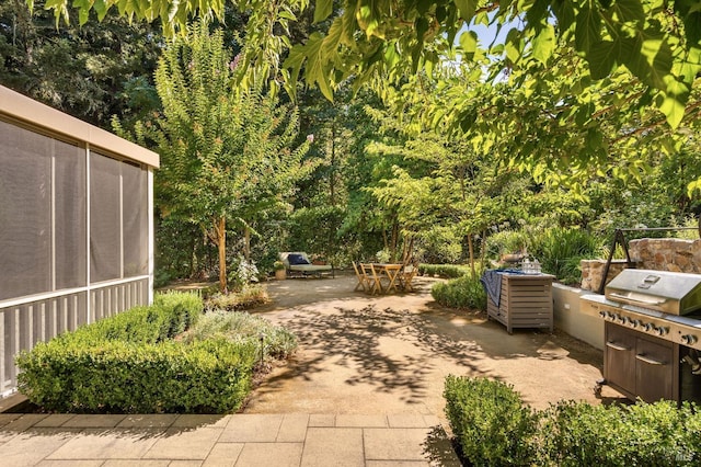 1450 Diamond Mountain Rd, Calistoga, CA 94515 - view of patio featuring area for grilling
