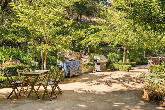 1450 Diamond Mountain Rd, Calistoga, CA 94515 - view of patio / terrace with area for grilling