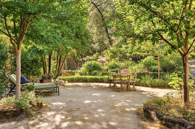1450 Diamond Mountain Rd, Calistoga, CA 94515 - view of home's community with a patio and outdoor dining area