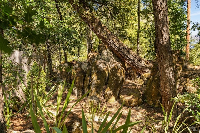 1450 Diamond Mountain Rd, Calistoga, CA 94515 - view of landscape