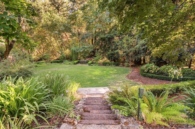 1450 Diamond Mountain Rd, Calistoga, CA 94515 - view of yard