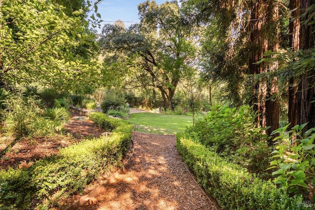 1450 Diamond Mountain Rd, Calistoga, CA 94515 - view of home's community with a lawn