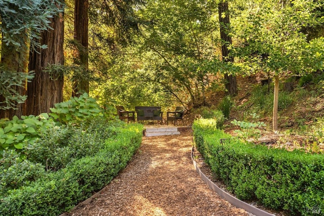 1450 Diamond Mountain Rd, Calistoga, CA 94515 - view of yard featuring fence