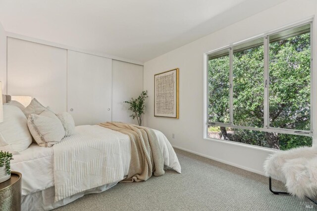 952 Lea Dr, San Rafael, CA 94903 - bedroom with baseboards, a closet, and carpet