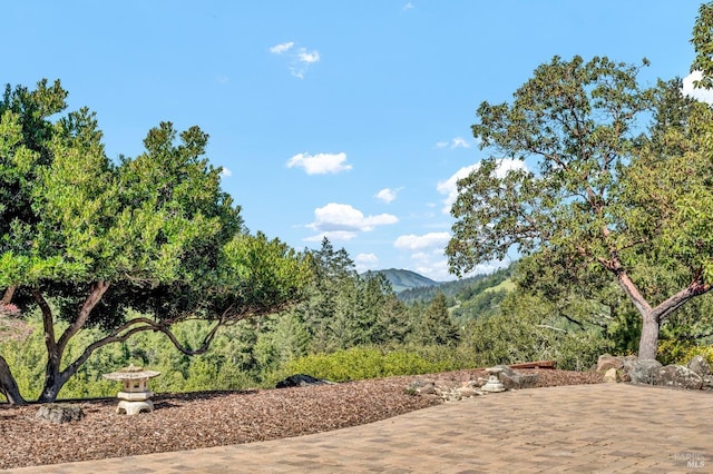 40 Los Pinos, Nicasio, CA 94946 - property view of mountains