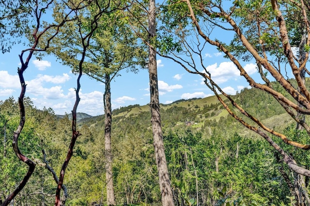 40 Los Pinos, Nicasio, CA 94946 - mountain view with a forest view