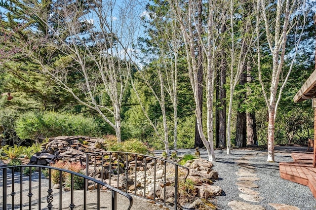 40 Los Pinos, Nicasio, CA 94946 - view of yard
