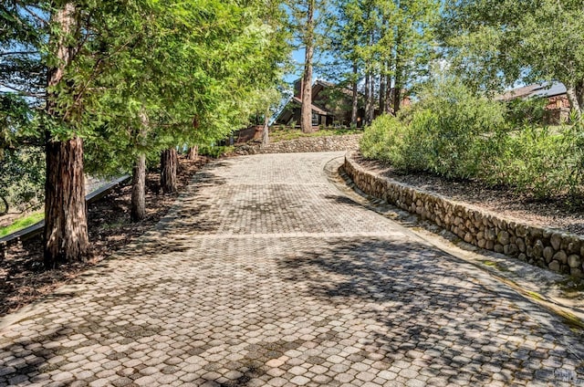 40 Los Pinos, Nicasio, CA 94946 - view of road featuring decorative driveway