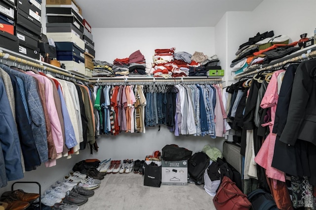 view of spacious closet