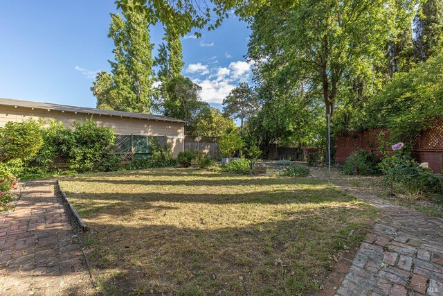 689 Rio Vista Dr, Napa, CA 94558 - view of yard