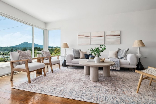 15 Junipero Serra Ave, San Rafael, CA 94901 - living area with a mountain view and hardwood / wood-style floors