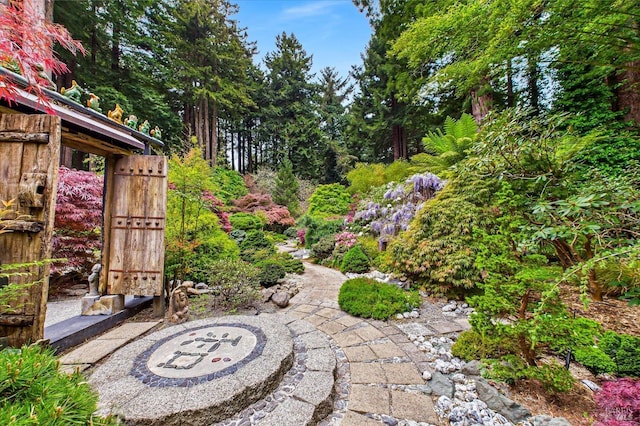 2300 S St, Eureka, CA 95501 - view of yard