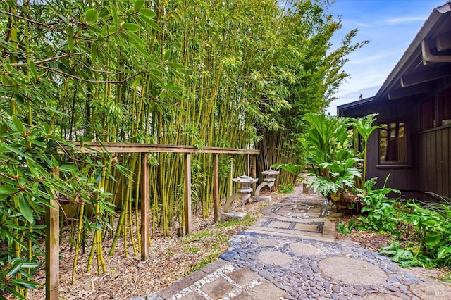 2300 S St, Eureka, CA 95501 - view of yard