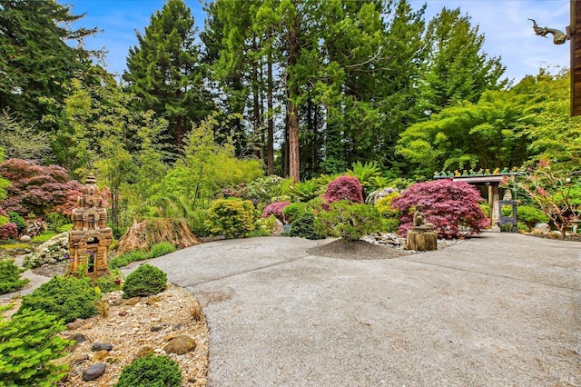 2300 S St, Eureka, CA 95501 - view of patio / terrace