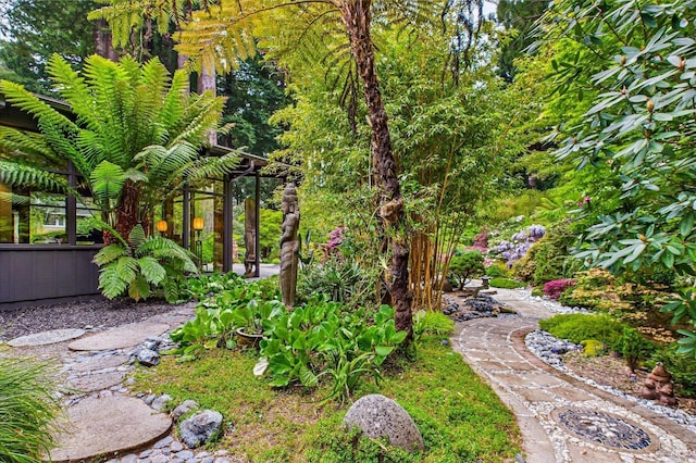 2300 S St, Eureka, CA 95501 - view of yard