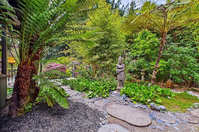 2300 S St, Eureka, CA 95501 - view of yard