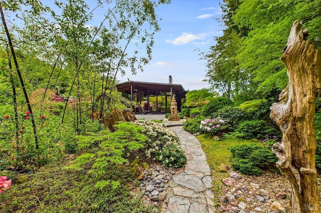 2300 S St, Eureka, CA 95501 - view of yard