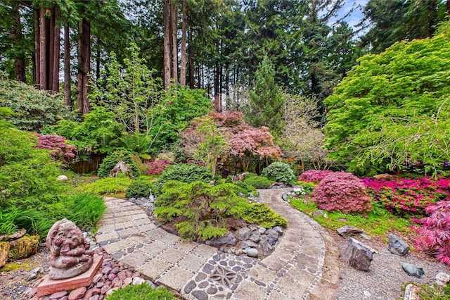 2300 S St, Eureka, CA 95501 - view of yard