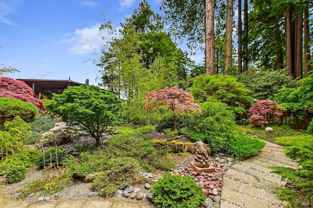 2300 S St, Eureka, CA 95501 - view of yard