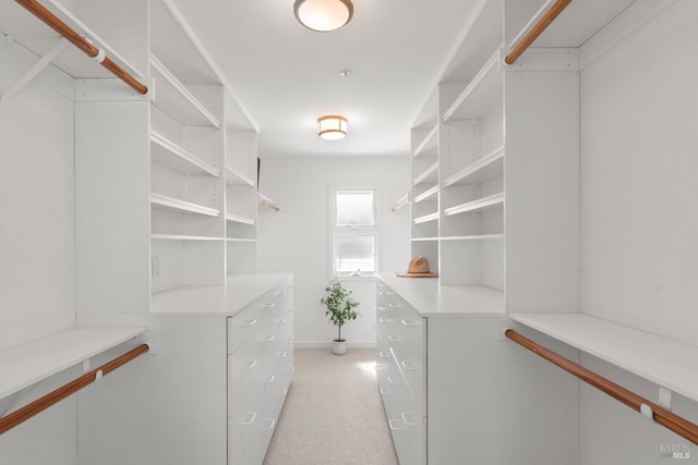 walk in closet with light colored carpet
