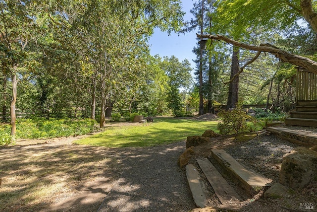 3180 Vichy Ave, Napa, CA 94558 - view of grassy yard