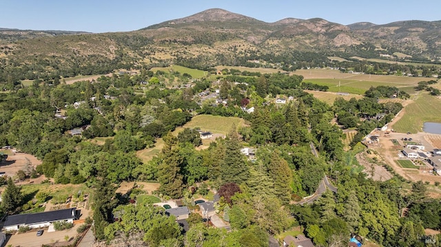 3180 Vichy Ave, Napa, CA 94558 - aerial view of property's location with a mountainous background