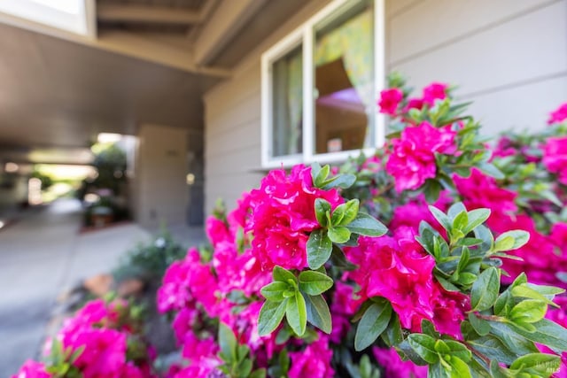408 White Oak Dr, Santa Rosa, CA 95409 - exterior view