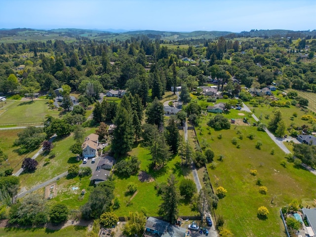 7301 Baker Ln, Sebastopol, CA 95472 - drone / aerial view