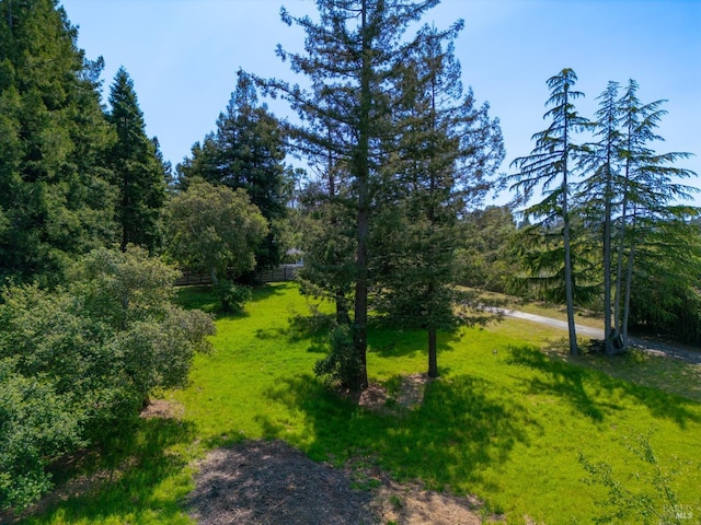 7301 Baker Ln, Sebastopol, CA 95472 - view of yard