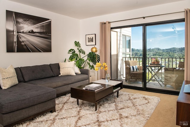 living room featuring carpet