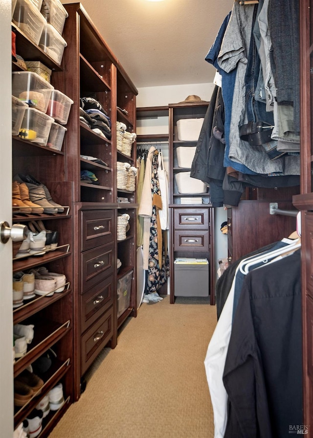 walk in closet with light colored carpet