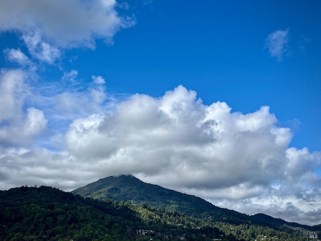 view of mountain backdrop with a heavily wooded area