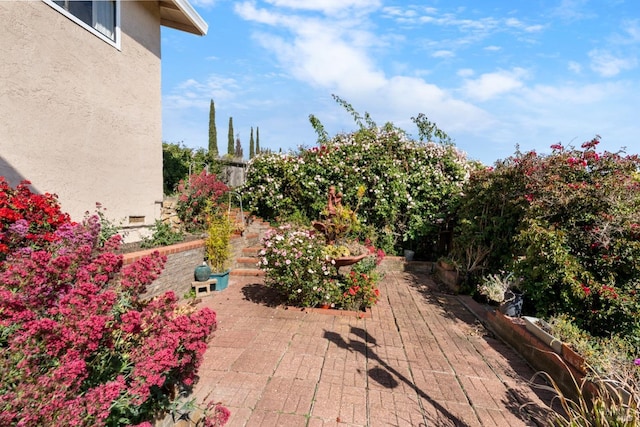 view of yard featuring a patio