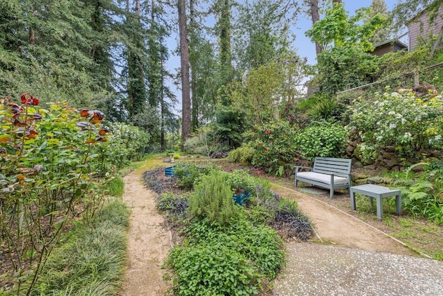 16 Ivy Ln, Woodacre, CA 94973 - view of yard