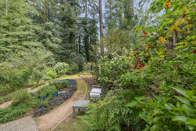 16 Ivy Ln, Woodacre, CA 94973 - view of yard