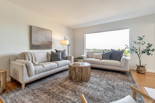 living room featuring wood finished floors and baseboards