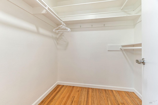 walk in closet with light wood-style flooring