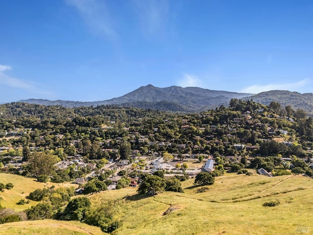 view of mountain background
