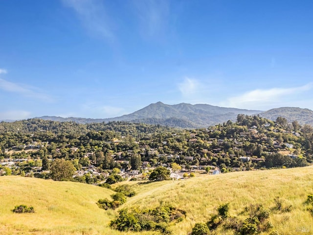 view of mountain background