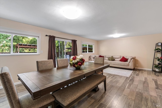 dining room featuring wood finished floors and baseboards